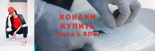 дживик Богородск
