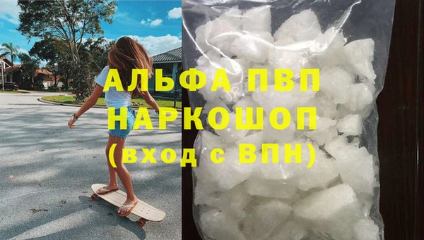 твердый Богданович