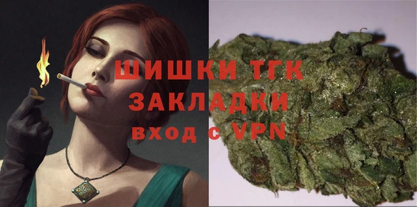 дживик Богородск